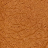 Kathleen (cognac) – Exklusive Damenhandschuhe aus Pekari-Leder mit Kaschmirfutter