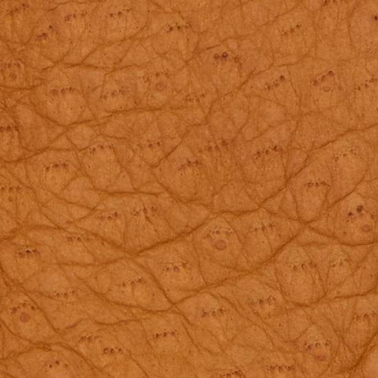 Close-up of cognac pebbled leather texture for gloves
