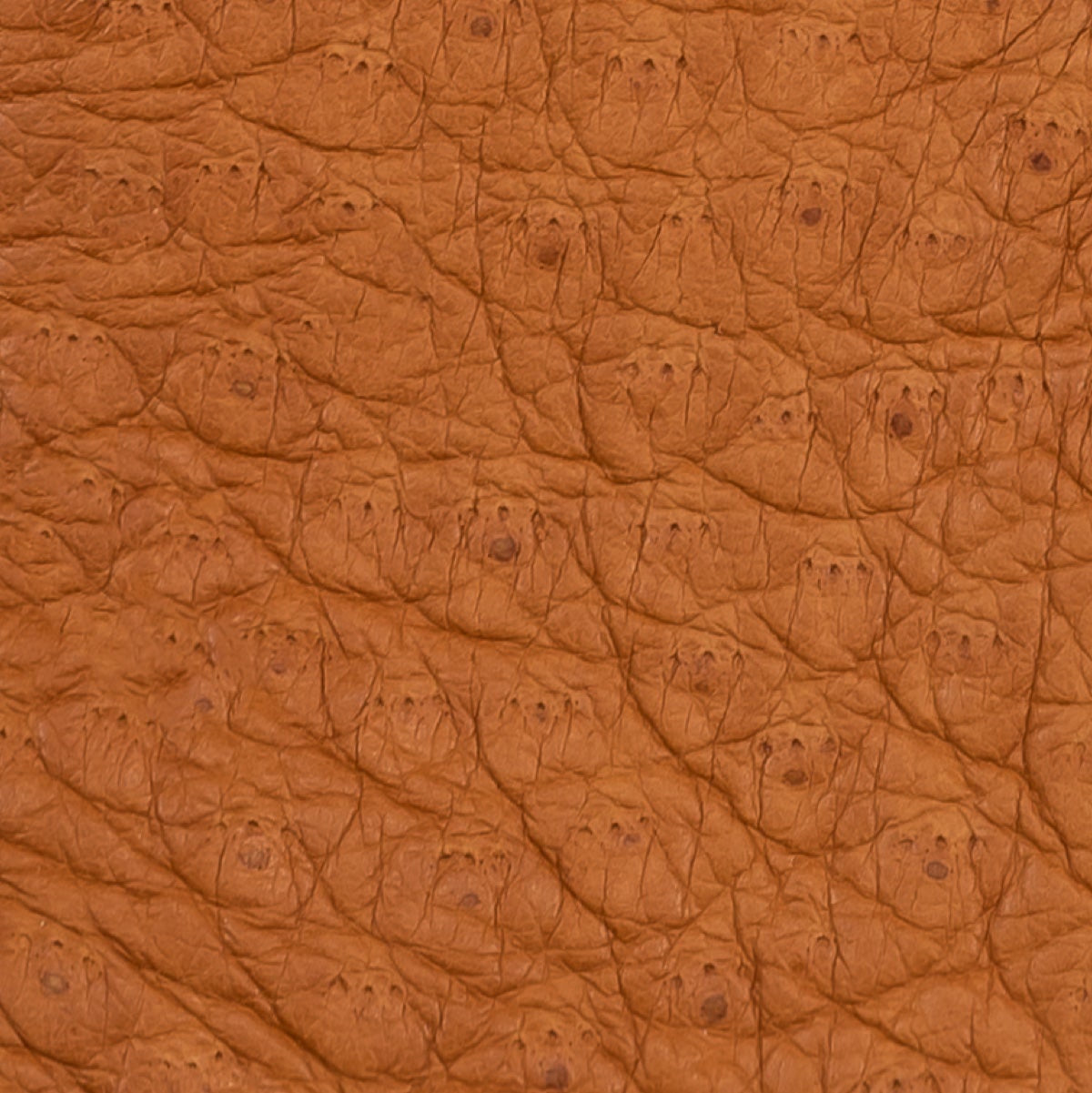 Close-up of cognac brown peccary leather texture with fine pebbled pattern